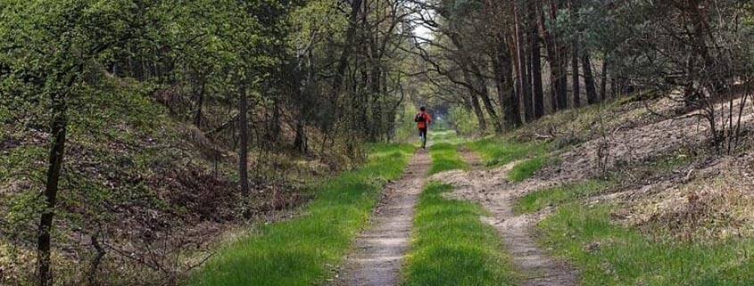 Fhinix Sports | Diferencias entre Trail y senderismo